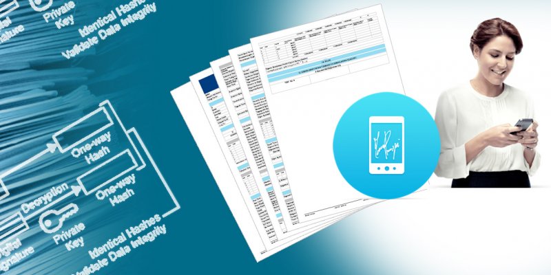 Objective and Rapid Valuation Company Assignment in INVEX -B Application